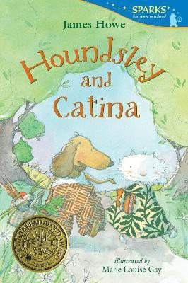 Houndsley and Catina(English, Paperback, Howe James)