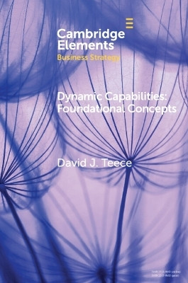 Dynamic Capabilities(English, Paperback, Teece David J.)