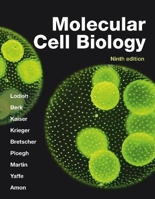 Molecular Cell Biology(English, Paperback, Lodish Harvey)