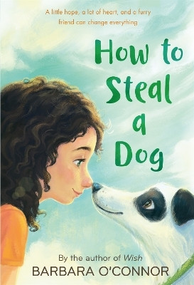 How to Steal a Dog(English, Paperback, O'Connor Barbara)