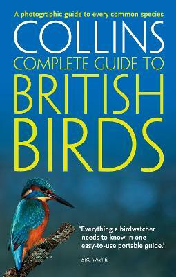 British Birds(English, Paperback, Sterry Paul)