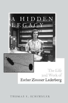 A Hidden Legacy(English, Hardcover, Schindler Thomas E.)