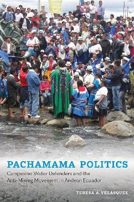 Pachamama Politics(English, Hardcover, Velasquez Teresa A.)