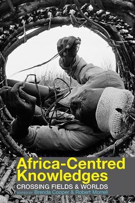 Africa-centred Knowledges(English, Hardcover, unknown)