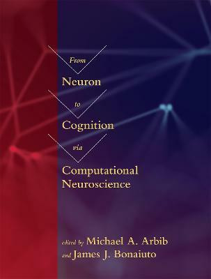 From Neuron to Cognition via Computational Neuroscience(English, Hardcover, unknown)