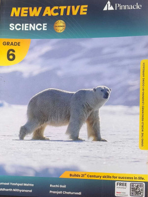 pinncale new active science class 6(Paperback, sumeet yashpal mehta)