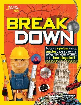 Break Down(English, Hardcover, Grunbaum Mara)