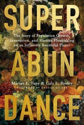 Superabundance(English, Paperback, Tupy Marian L)