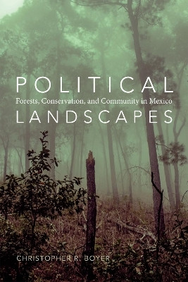 Political Landscapes(English, Paperback, Boyer Christopher R.)