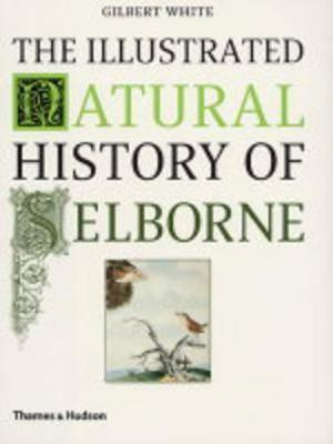 The Illustrated Natural History of Selborne(English, Paperback, White Gilbert)