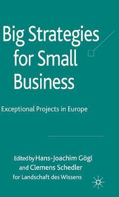 Big Strategies for Small Business  - Exceptional Projects in Europe(English, Hardcover, unknown)