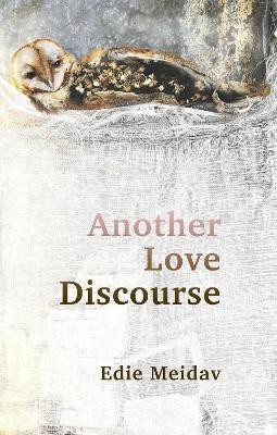 Another Love Discourse(English, Paperback, Meidav Edie)