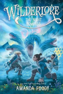 The Night Compass(English, Paperback, Foody Amanda)