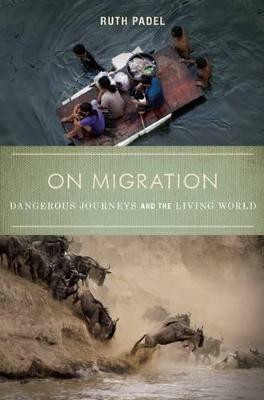 On Migration(English, Paperback, Padel Ruth)