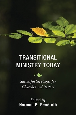 Transitional Ministry Today(English, Paperback, unknown)