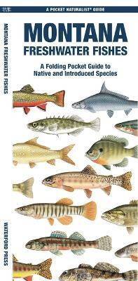 Montana Freshwater Fishes(English, Pamphlet, Morris Matthew Waterford Press)