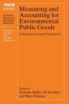 Measuring and Accounting for Environmental Public Goods(English, Hardcover, unknown)