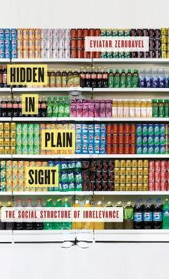 Hidden in Plain Sight(English, Hardcover, Zerubavel Eviatar)