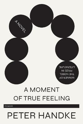 A Moment of True Feeling(English, Paperback, Handke Peter)