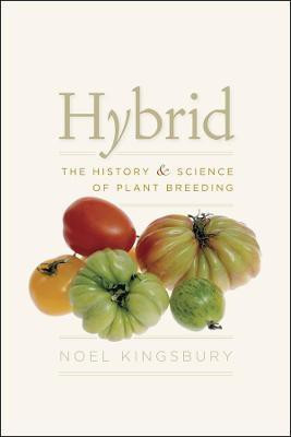 Hybrid(English, Paperback, Kingsbury Noel)