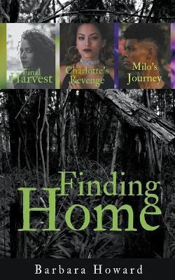 Finding Home Mystery Series(English, Paperback, Howard Barbara)