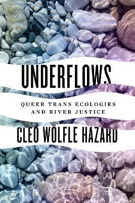 Underflows(English, Paperback, Wolfle Hazard Cleo)
