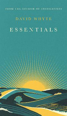 Essentials(English, Hardcover, Whyte David)