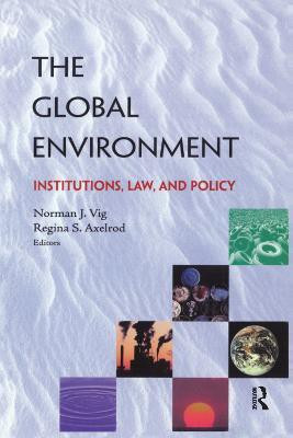 The Global Environment(English, Paperback, Vig Norman J.)
