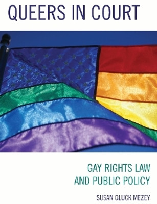 Queers in Court(English, Electronic book text, Mezey Susan Gluck)