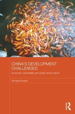 China's Development Challenges(English, Paperback, Schiere Richard)