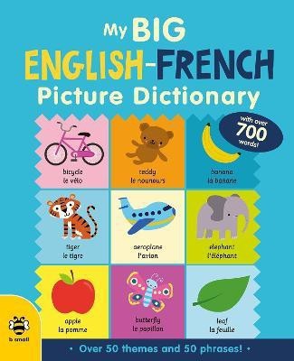 My Big English-French Picture Dictionary(English, Hardcover, Bruzzone Catherine)