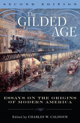 The Gilded Age(English, Hardcover, unknown)