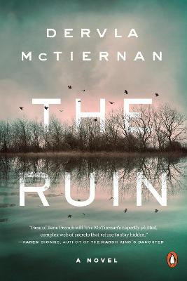 The Ruin(English, Paperback, McTiernan Dervla)