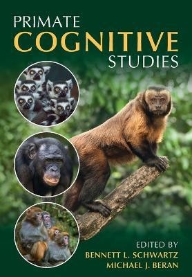 Primate Cognitive Studies(English, Paperback, unknown)