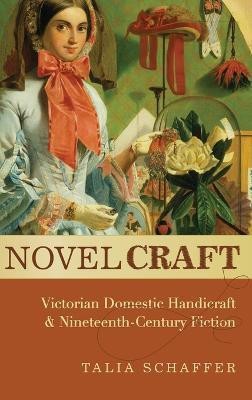 Novel Craft(English, Hardcover, Schaffer Talia)