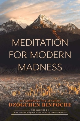Meditation for Modern Madness(English, Paperback, Rinpoche Dzogchen)