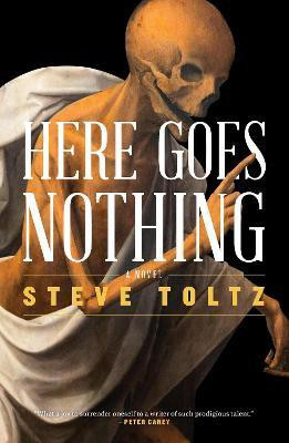 Here Goes Nothing(English, Paperback, Toltz Steve)