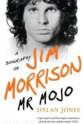 Mr Mojo(English, Electronic book text, Jones Dylan)
