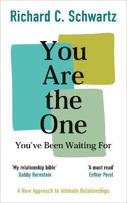 You Are the One You've Been Waiting For(English, Paperback, Schwartz Richard)