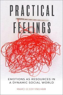 Practical Feelings(English, Paperback, Cottingham Marci D.)