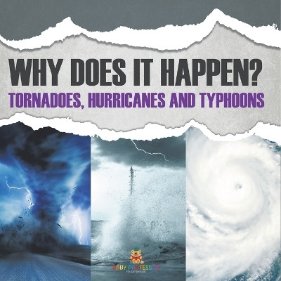 Why Does It Happen(English, Paperback, Baby Professor)