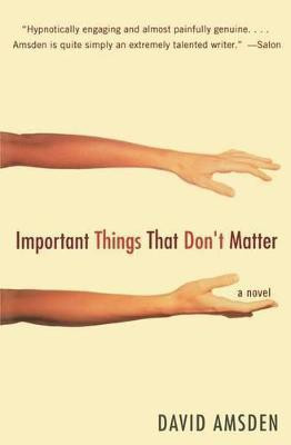 Important Things That Don't Matter(English, Paperback, Amsden David)