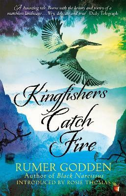 Kingfishers Catch Fire(English, Paperback, Godden Rumer)