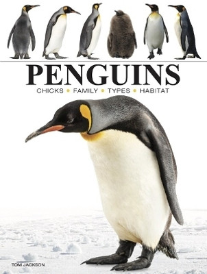 Penguins(English, Paperback, Jackson Tom)