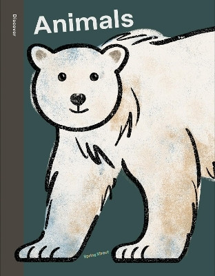 Spring Street Discover: Animals(English, Hardcover, Boxer Books)