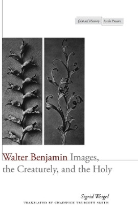 Walter Benjamin(English, Paperback, Weigel Sigrid)
