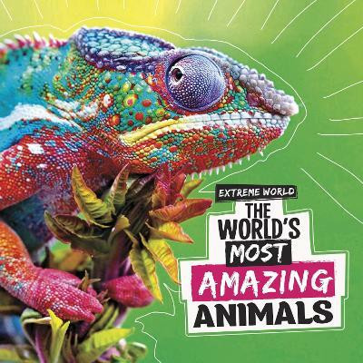 The World's Most Amazing Animals(English, Hardcover, Meister Cari)