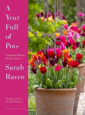 A Year Full of Pots(English, Hardcover, Raven Sarah)