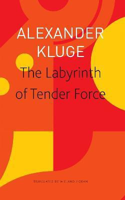 The Labyrinth of Tender Force - 166 Love Stories(English, Paperback, Kluge Alexander)