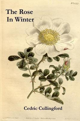 The Rose in Winter(English, Paperback, Cullingford Cedric Professor)